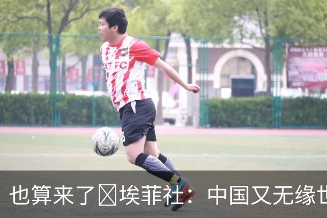 也算来了😅埃菲社：中国又无缘世界杯，但中国企业深度参与其中